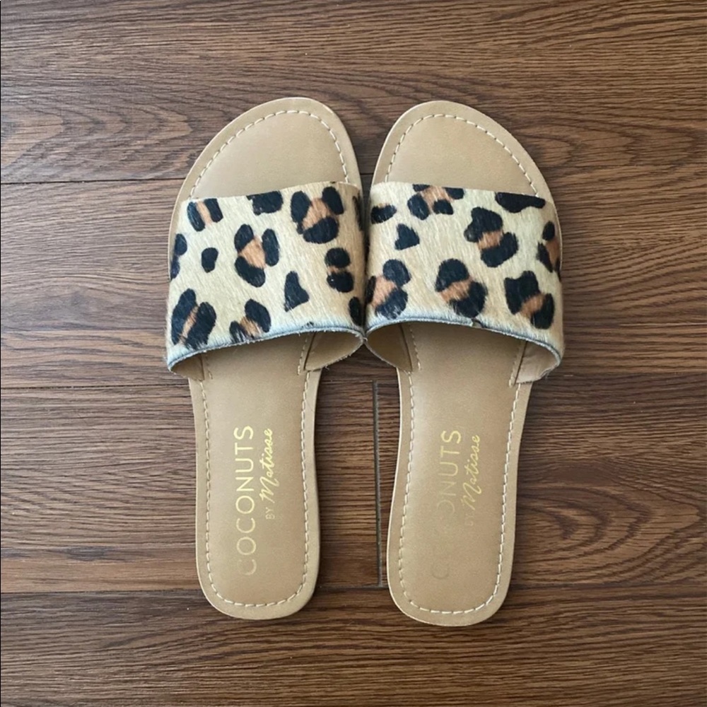 Leopard slides